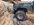 IMG_2738.jpeg