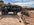IMG_2741.jpeg