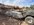 IMG_2744.jpeg