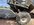 IMG_2748.jpeg
