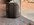 IMG_2749.jpeg