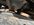 IMG_2751.jpeg