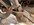 IMG_2752.jpeg