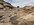 IMG_2764.jpeg