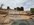 IMG_2768.jpeg