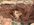 IMG_2774.jpeg