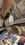 IMG_2987.jpeg
