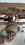 IMG_2985.jpeg