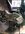IMG_4339.jpeg
