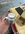 IMG_1683.jpeg
