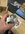 IMG_1685.jpeg