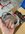 IMG_1686.jpeg