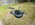 IMG_3782.jpeg