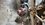 IMG_3001.jpeg