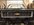 IMG_8271.jpeg