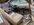 IMG_7042.jpeg