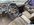 IMG_7044.jpeg