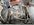 IMG_7046.jpeg