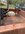 IMG_7055.jpeg