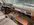 IMG_7061.jpeg