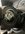 IMG_8643.jpeg