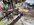 IMG_2435.jpeg