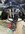 IMG_3133.jpeg
