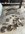 IMG_2444.jpeg