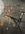 B89F6F70-DDA3-41A3-B70B-94CA23220477.jpeg