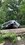 IMG_3047.jpeg