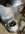 BB68B975-82D9-4832-BB33-D1894FCC6CF3.jpeg