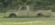 B04C7854-14CE-4A5D-8DDB-D2EF72B40CEB.png