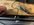 IMG_6651.jpeg