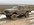 IMG_9456.jpeg