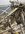 B041AD6A-3645-463E-956A-39206C287E46.jpeg