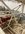 A3CDAE72-01B9-4C68-AE9C-374071B5A1E0.jpeg