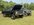 IMG_3165.jpeg