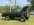 IMG_3166.jpeg