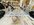 IMG_4243.jpeg