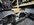 IMG_4274.jpeg