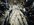 IMG_4294.jpeg