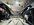 IMG_4295.jpeg