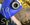 DC041EDB-6E67-40A0-8EE9-291BB4C4C957.jpeg