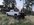 IMG_7165.jpeg