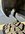 IMG_0430.jpeg