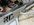 IMG_4322.jpeg