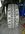 IMG_3932.jpeg