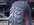 IMG_3935.jpeg