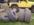 IMG_3941.png