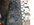 IMG_3933.jpeg